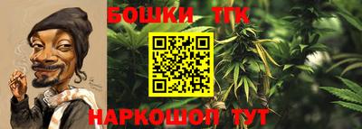 прущие грибы Комсомольск-на-Амуре