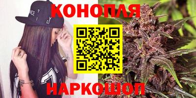 прущие грибы Комсомольск-на-Амуре